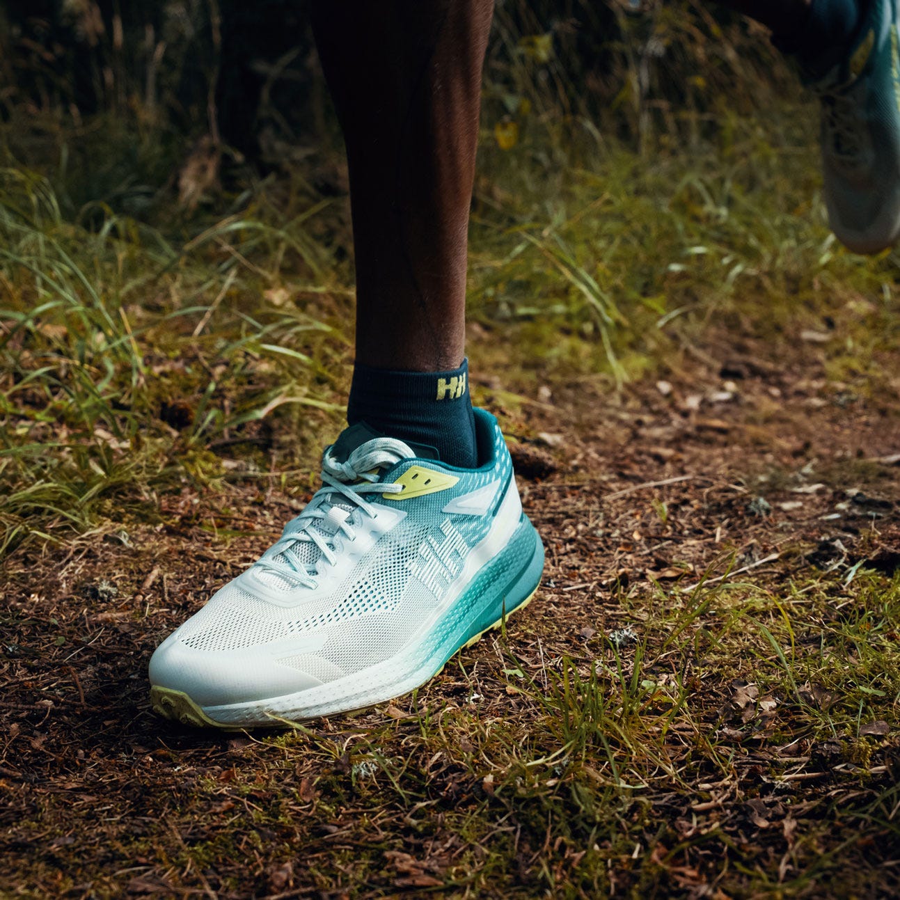 Men's Kestrel Trail Running Shoes - 453 EVERGLADE / SHARP GREEN